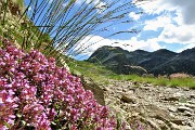 17 Sul 204 per il Lago Moro con vista in Corno Stella